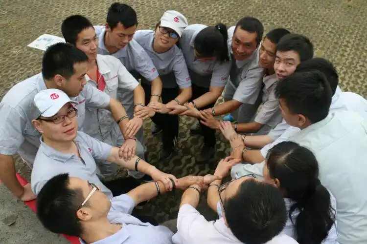 星光株式会社团队